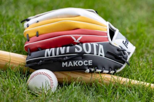 Partnerships Twins Glove 1200x800